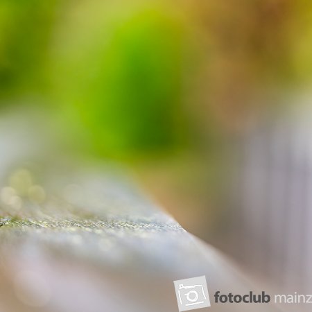 2025 Hombroich &amp; Düsseldorf - Jutta Wirthl: &quot;Brücke abstrakt&quot;